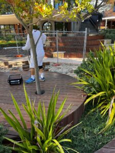 WhatsApp Image 2026-01-27 at 5.51.11 PM (1)