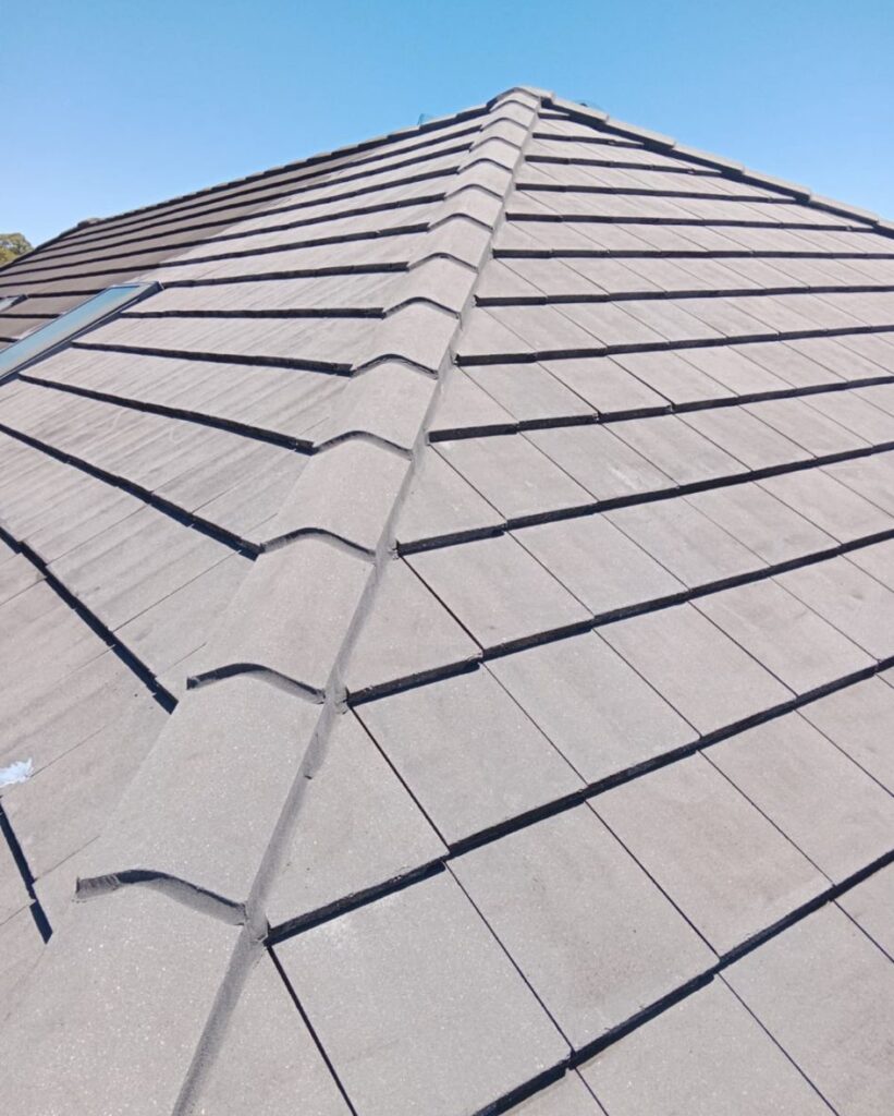 WhatsApp Image 2026-01-27 at 5.51.24 PM